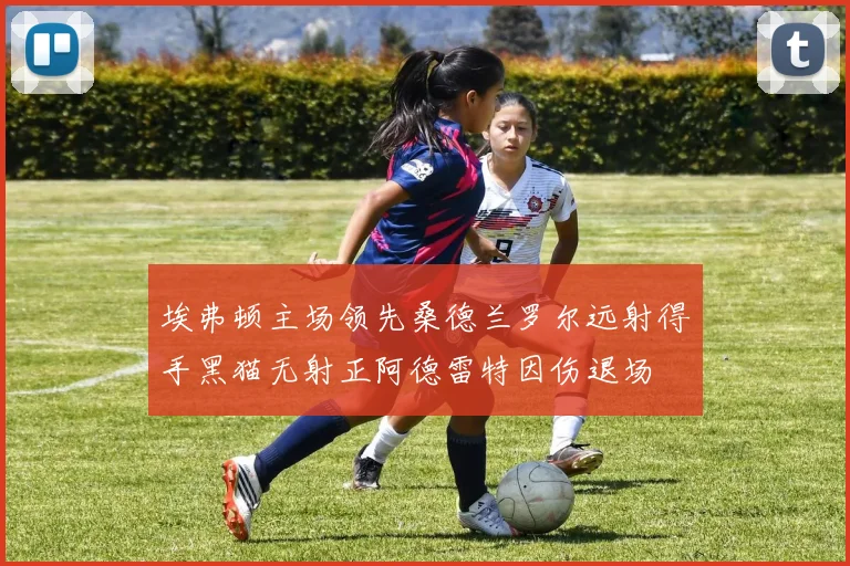 埃弗顿主场领先桑德兰罗尔远射得手黑猫无射正阿德雷特因伤退场