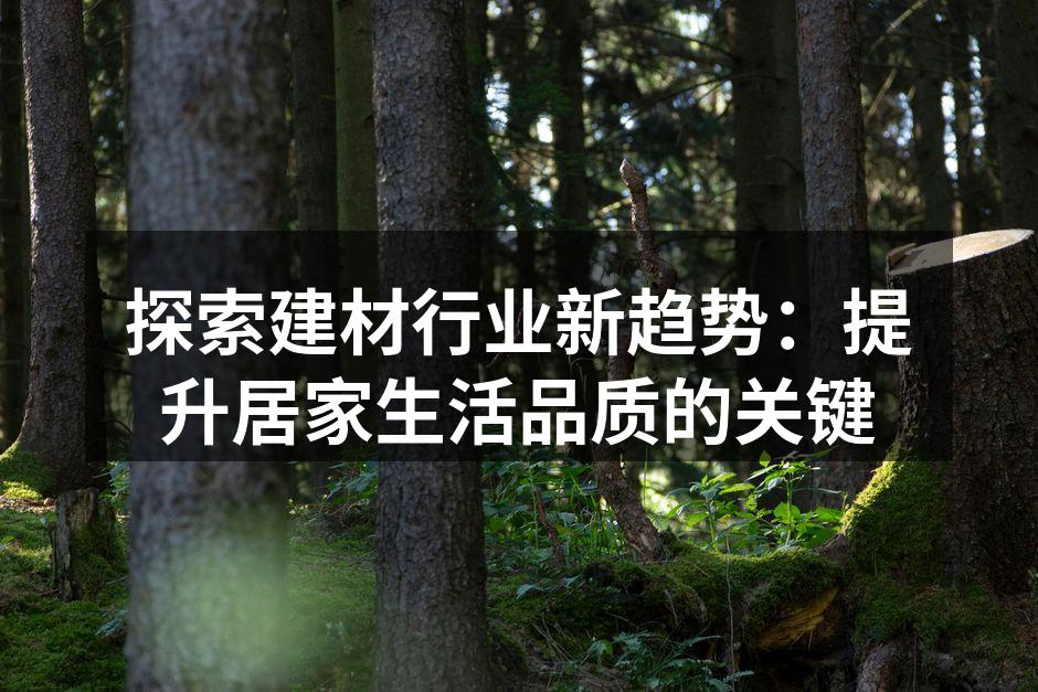 探索建材行业新趋势：提升居家生活品质的关键