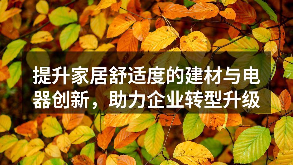 环保建材的应用提升家庭舒适感